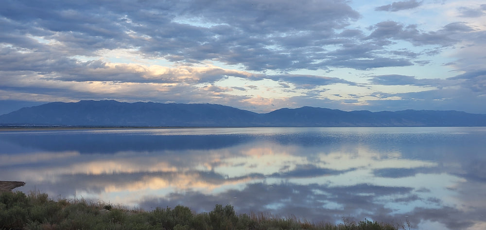 
            
                Load image into Gallery viewer, Picture at antelope island. Ebike rentals. E-bike tour.
            
        