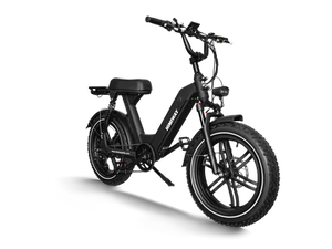 
            
                Load image into Gallery viewer, Himiway Escape Pro E-Bike
            
        