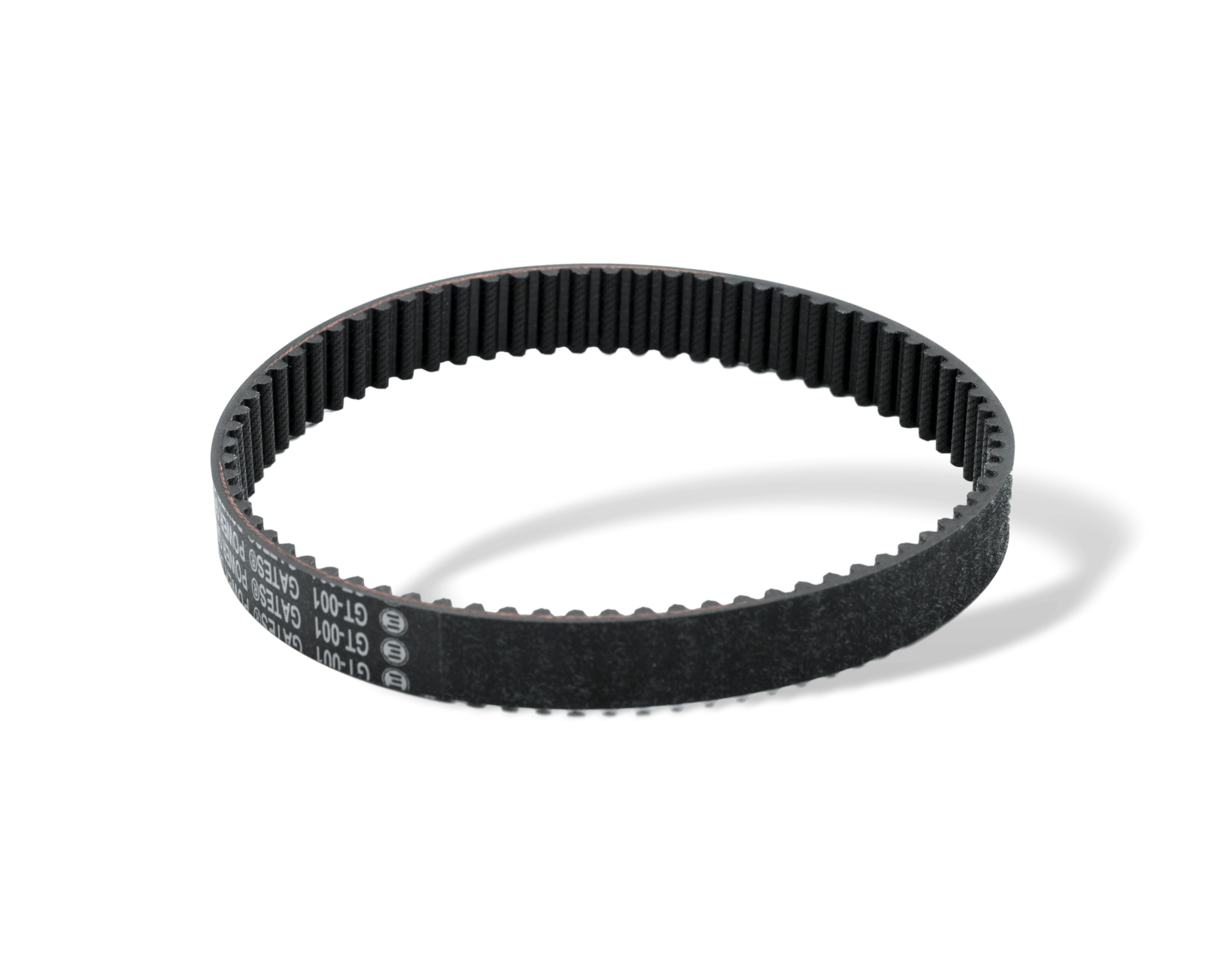 Ceinture tout terrain Evolve