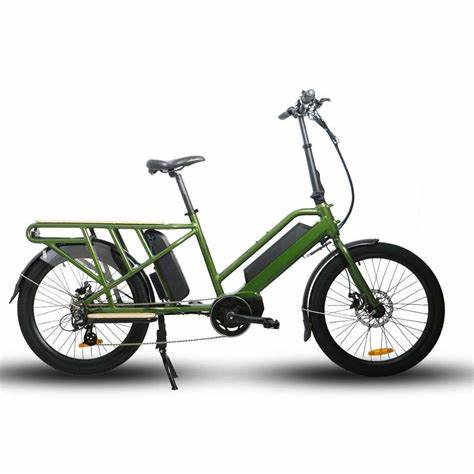 
            
                Load image into Gallery viewer, Cargo E Bike
            
        